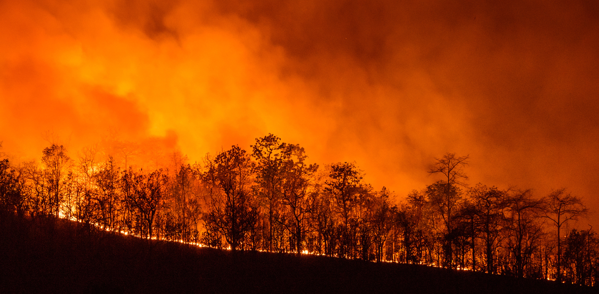 El Impacto de los Incendios y el Cambio Climático